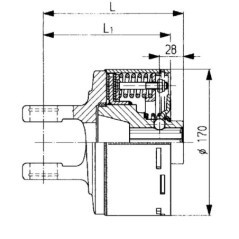 Friction clutch K96 - 561005085