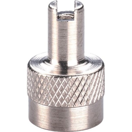 Valve cap with valve extractor - 5620100