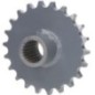 Sprocket - 559500502300 Sprocket - 559500502300