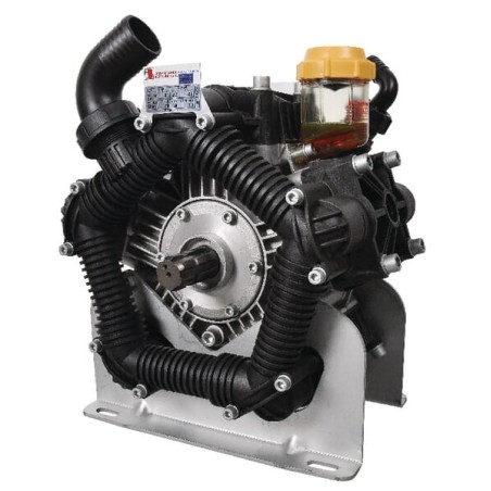 Pompa Poly 2210-VD Bertolini - 556000973VD