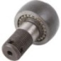 Baugruppe - 547546AN Baugruppe - 547546AN