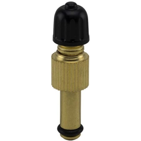 Air/water insert valve - 5623042