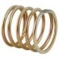 Spring for locking disc RNZ - 53952012020130