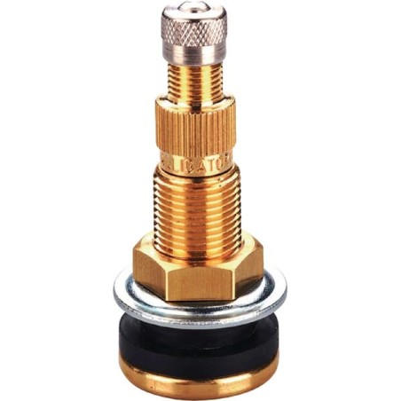 Tubeless valve TR618A - 5623080