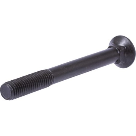 Counters. screw M12x120 DIN608 - 548320N