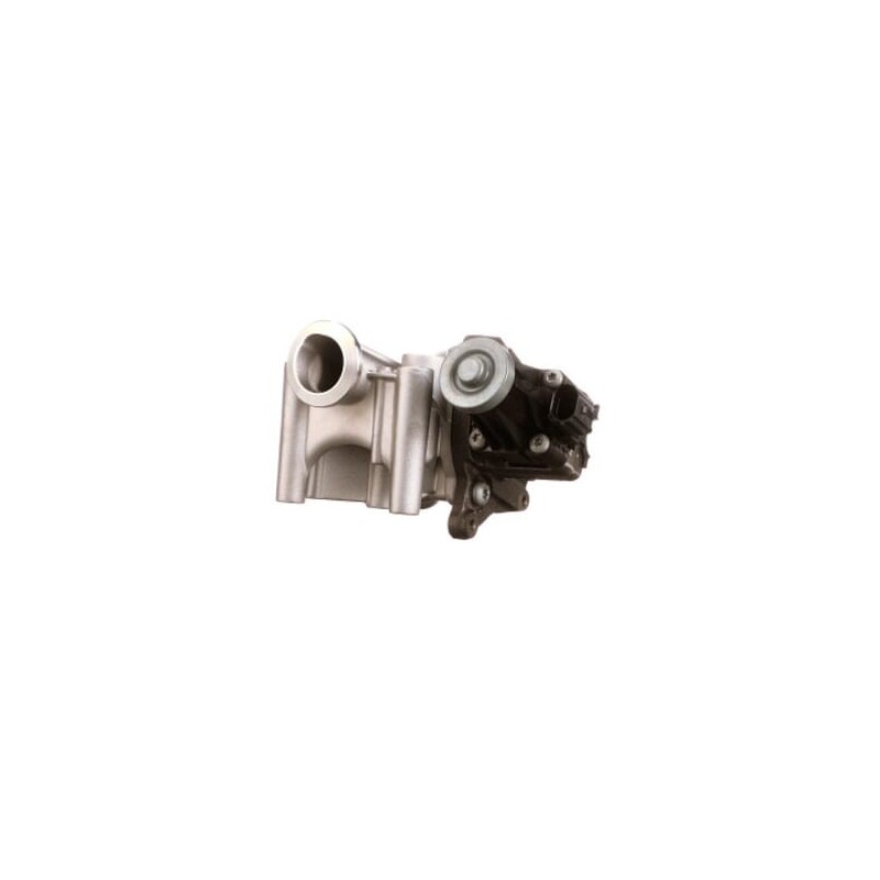AGR-Ventil - 5801669153FPT AGR-Ventil - 5801669153FPT