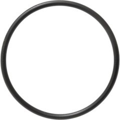 O-ring - 579359