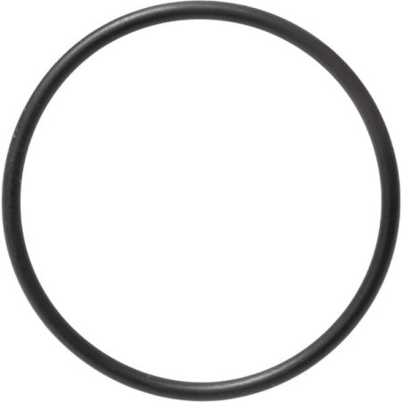 O-ring - 579359