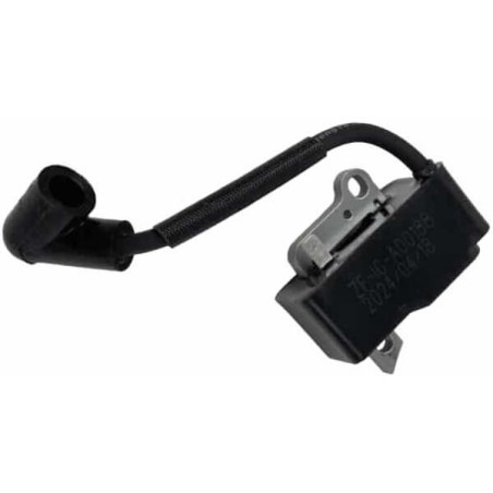 Ignition assembly - 579638803KR