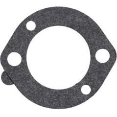 591309 Briggs & Stratton, Kraftstoffsystemteile 
