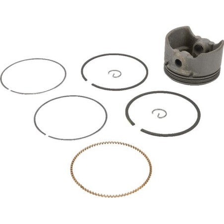 Piston complete standard - 590404