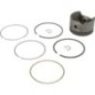Kolben Standard - 590404 Kolben Standard - 590404