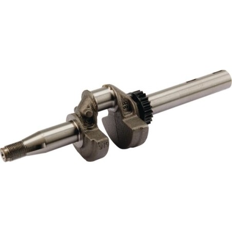 Crankshaft with bearings - 590538