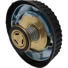 588971N Raico, Radiator caps 