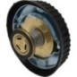 Cooler Plug - 588971N Cooler Plug - 588971N