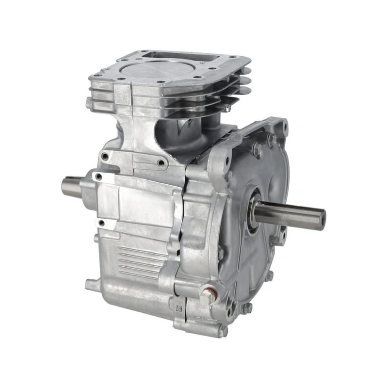 Short block model 21 AVS - 592055 Short block model 21 AVS - 592055