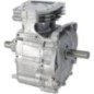Short block model 21 AVS - 592055 Short block model 21 AVS - 592055