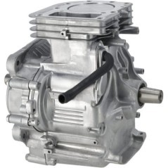 Short block model 21 AVS - 592055