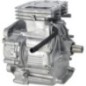 Short block model 21 AVS - 592055 Short block model 21 AVS - 592055