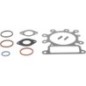 Short block model 21 AVS - 592055 Short block model 21 AVS - 592055