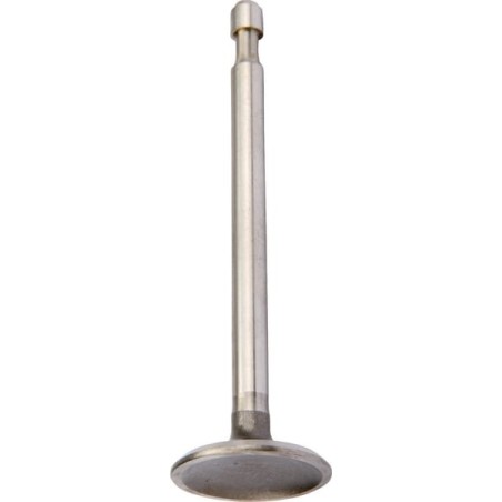 Einlassventil - 590393