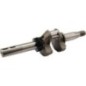 Crankshaft - 590537