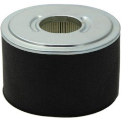 592605 Briggs & Stratton, Filter 