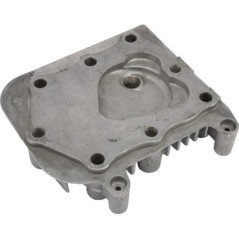 Cylinder head - 590411