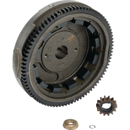 Briggs & Stratton – produkty dostępne w rolniczeczesci.pl