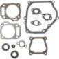 Gasket set-engine - 594951 Gasket set-engine - 594951