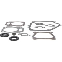 Gasket set-engine - 594951