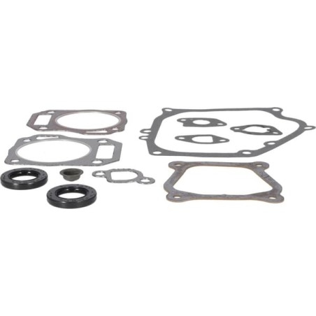Gasket set-engine - 594951