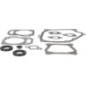 Gasket set-engine - 594951 Gasket set-engine - 594951