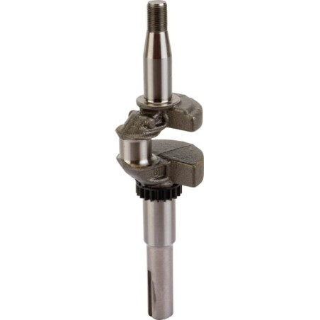 Crankshaft - 595024