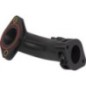 Manifold-intake - 592842