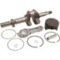 Crankshaft - 593916 Crankshaft - 593916