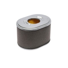 595435 Briggs & Stratton, Filter 