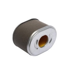 595435 Briggs & Stratton, Filter 