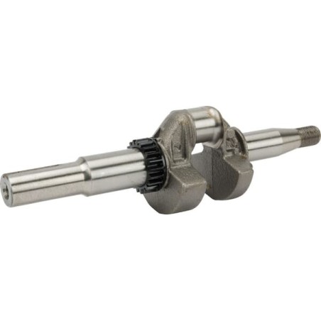 Crankshaft - 594572