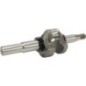 Crankshaft - 594572 Crankshaft - 594572