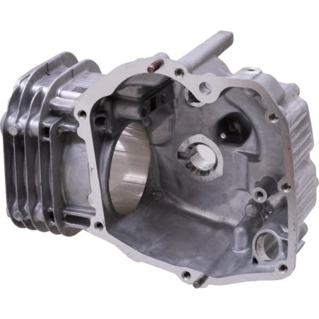 Cylinder silnika kpl. - 596413