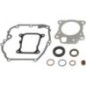 Dichtungssatz Motor - 597320 Dichtungssatz Motor - 597320