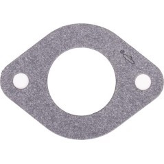 594204 Briggs & Stratton, Gaskets 