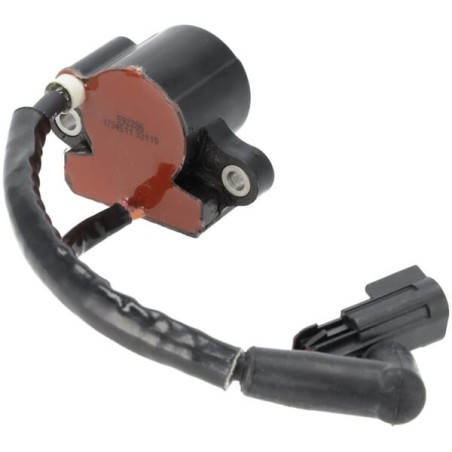 Ignition coil - 593856