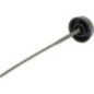 Oil dipstick - 596509