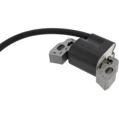 595291 Briggs & Stratton, Ignition parts 