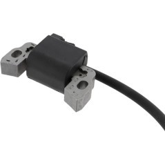 595291 Briggs & Stratton, Ignition parts 