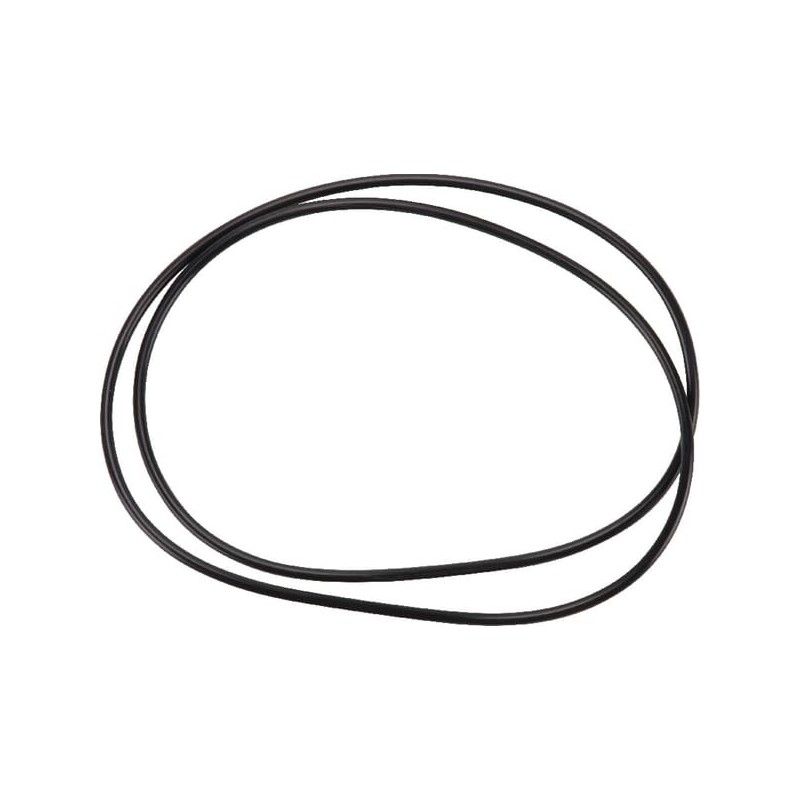 Bremse O Ring - 6005021972