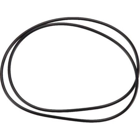 Bremse O Ring - 6005021972