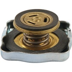 Kühlerdeckel - 6005031348